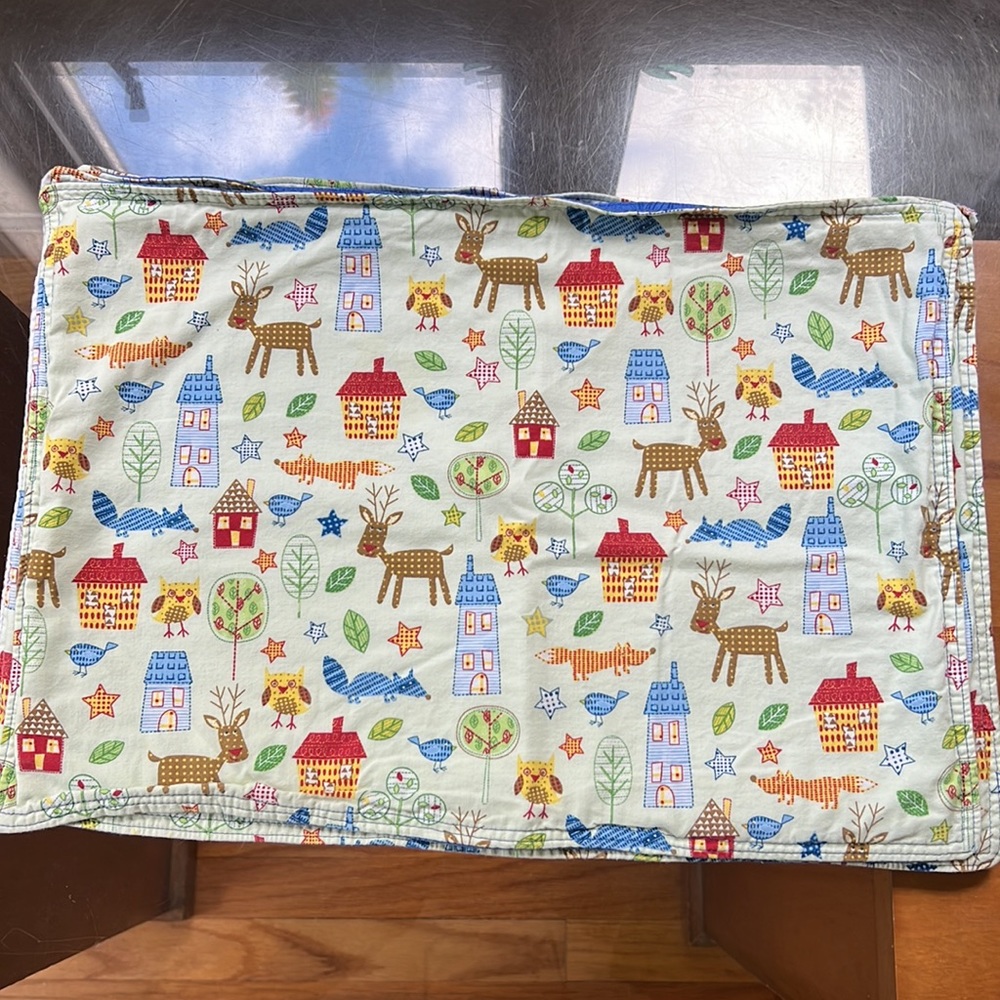 4 Double Sided Children’s Theme Placemats, Cotton